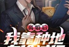 已完结小说《离婚后,我靠种地身价过亿》在线章节阅读-够力荐小说推荐网