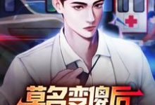 四柱小说《莫名变傻后,我成了乡村团宠》在线阅读-够力荐小说推荐网