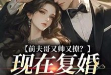 在线寻找前夫哥又帅又撩？现在复婚来得及吗小说的无删减版本-够力荐小说推荐网