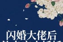 闪婚大佬后,他专宠小娇娇这本小说在哪里可以看?哪里有免费试读章节?-够力荐小说推荐网