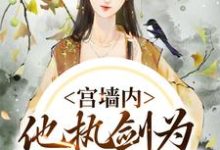 宫墙内，他执剑为我杀出血路最新章节，宫墙内，他执剑为我杀出血路免费阅读-够力荐小说推荐网