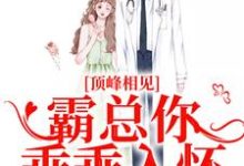 完结版《顶峰相见，霸总你乖乖入怀》免费阅读-够力荐小说推荐网