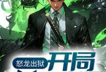 求怒龙出狱：开局奉旨成婚小说免费资源-够力荐小说推荐网