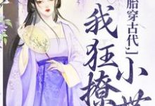 胎穿古代,我狂撩小世子小说完结版章节免费阅读-够力荐小说推荐网