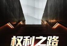 权利之路:我到底是谁小说,权利之路:我到底是谁免费阅读-够力荐小说推荐网