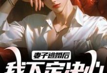妻子逃婚后,我下定决心选了她小说,妻子逃婚后,我下定决心选了她最新章节-够力荐小说推荐网