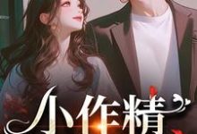 昭禾沉向晚小说在线章节免费阅读（小作精，我看上你啦无弹窗无删减）-够力荐小说推荐网