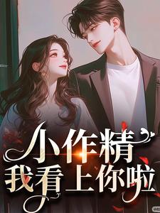 昭禾沉向晚小说在线章节免费阅读（小作精，我看上你啦无弹窗无删减）