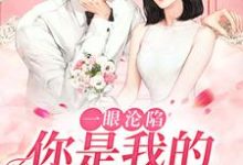 《一眼沦陷:你是我的命中注定》小说大结局免费试读 贺凛徐柠小说-够力荐小说推荐网