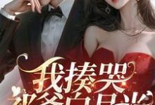 完结版《我揍哭祁爷白月光,婚戒扔他脸上》在线免费阅读-够力荐小说推荐网