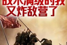 寻找抗战:战术满级的我又炸敌营了小说的最新更新章节-够力荐小说推荐网