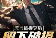 谎言被拆穿后,留下破损的婚姻小说有没有完结版在线?-够力荐小说推荐网