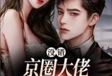 没错，京圈大佬就是没她不行小说完结版章节免费阅读-够力荐小说推荐网