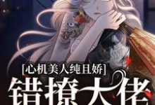 心机美人纯且娇，错撩大佬软了腰小说有没有完结版在线？-够力荐小说推荐网