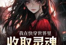 我在快穿世界里，收取灵魂当报酬小说完结版章节免费阅读-够力荐小说推荐网