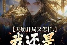 李佑小说在线章节免费阅读（天崩开局又怎样，我还是大唐的王无弹窗无删减）-够力荐小说推荐网