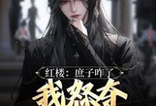 贾玓小说红楼：庶子咋了，我怒夺贾宝玉风头章节免费阅读-够力荐小说推荐网