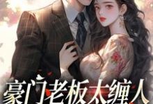 沈雾徐宴行小说叫什么（豪门老板太缠人，为她折腰为她疯免费阅读）-够力荐小说推荐网
