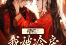 糟糕！我被冷戾帝王缠上了小说，糟糕！我被冷戾帝王缠上了在线阅读-够力荐小说推荐网