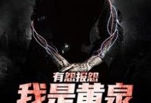 有怨报怨，我是黄泉摆渡人小说最新章节在哪里可以读到？-够力荐小说推荐网