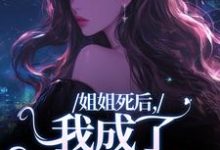 完结版《姐姐死后,我成了争夺礼品》章节目录在线阅读-够力荐小说推荐网