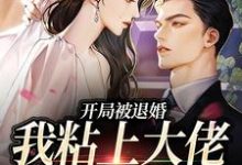 小说《开局被退婚，我粘上大佬求做主》在线章节阅读-够力荐小说推荐网