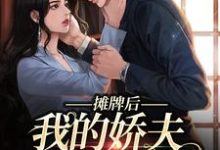 南烟傅靳司小说叫什么（摊牌后，我的娇夫变小弟免费阅读）-够力荐小说推荐网