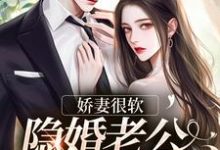 哪里可以免费找到娇妻很软:隐婚老公已沦陷?-够力荐小说推荐网