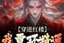 穿进红楼，我贾环精通朝堂争斗贾环，穿进红楼，我贾环精通朝堂争斗小说免费阅读-够力荐小说推荐网