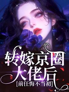 转嫁京圈大佬后，前任悔不当初小说，转嫁京圈大佬后，前任悔不当初苏婉禾司北琛