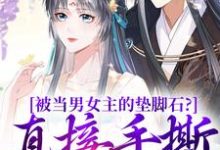 寻找被当男女主的垫脚石?直接手撕剧本小说的最新更新章节-够力荐小说推荐网