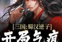 三国:蜀汉逆子,开局气疯诸葛亮小说有没有完整的免费版本在线阅读?-够力荐小说推荐网