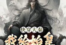 快穿大秦:我给始皇当左相小说,快穿大秦:我给始皇当左相秦牧-够力荐小说推荐网