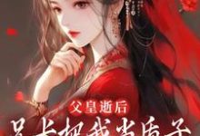 父皇逝后，兄长把我当质子送去敌国虞乐安拓跋翰霆小说在线章节目录阅读最新章节-够力荐小说推荐网