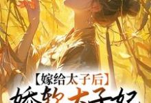 嫁给太子后,娇软太子妃藏起尖刀(程婵衣)在线免费阅读-够力荐小说推荐网