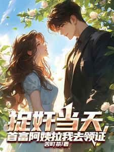 捉奸当天，首富阿姨拉我去领证免费阅读，捉奸当天，首富阿姨拉我去领证叶安