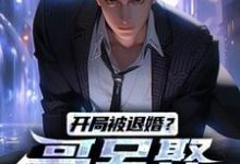 开局被退婚？哥另娶白富美楚风甄姬，开局被退婚？哥另娶白富美在线无弹窗阅读-够力荐小说推荐网