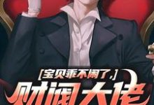 完结版《宝贝乖不闹了，财阀大佬日撩夜哄》在线免费阅读-够力荐小说推荐网
