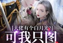 大佬有个白月光？可我只图他钱包啊小说完结了吗？在哪里可以免费读到？-够力荐小说推荐网