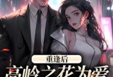 重逢后，高岭之花为爱变身追妻狂魔小说，重逢后，高岭之花为爱变身追妻狂魔免费阅读-够力荐小说推荐网