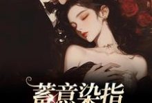 蓄意染指:大佬病态缠欢最新章节,蓄意染指:大佬病态缠欢章节在线阅读-够力荐小说推荐网