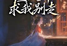 陆知苒楚翊安小说我进宫和离，渣夫却求我别走章节免费阅读-够力荐小说推荐网