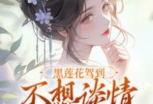 免费在线阅读黑莲花驾到，不想谈情只想晋升小说的正规网站有哪些？-够力荐小说推荐网