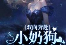 哪里能找到双向奔赴,小奶狗他超心机小说的最新更新和免费章节?-够力荐小说推荐网