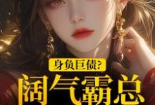 《身负巨债？阔气霸总随手解决！》小说章节列表免费试读，苏屹杉郁寒铮小说在线阅读-够力荐小说推荐网