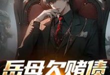 完结版《岳母欠赌债要被砍手？跟我没关系哈》章节阅读-够力荐小说推荐网