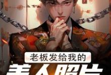 小说《老板发给我的美人照片是老板娘》章节免费阅读-够力荐小说推荐网