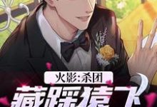 已完结小说《火影：杀团藏踩猿飞，我无敌了》在线章节阅读-够力荐小说推荐网