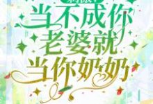 刺激!当不成你老婆就当你奶奶小说阅读,刺激!当不成你老婆就当你奶奶完结版-够力荐小说推荐网