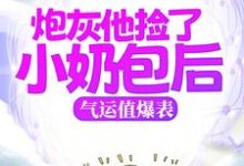 求炮灰他捡了小奶包后,气运值爆表小说的全文免费阅读链接-够力荐小说推荐网